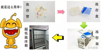 樣本凍存解決方案之凍存架、凍存盒、凍存管