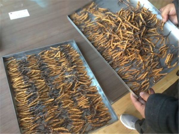 制藥凍干機(jī)中的加熱系統(tǒng)的作用是什么？