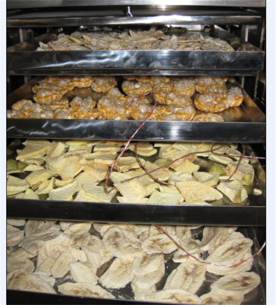 冷凍干燥機(jī)在食品凍干加工中需要注意哪些細(xì)節(jié)？