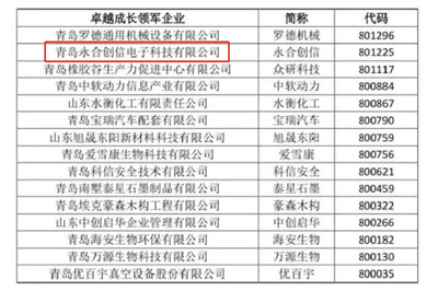 永合創(chuàng)信再獲榮譽(yù)--卓越成長(zhǎng)領(lǐng)軍企業(yè)